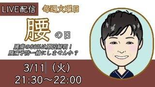 【LIVE配信】腰の日｜腰痛改善！一緒に取り組むセルフケア「第54回」