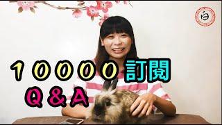 白白國文１萬訂閱Ｑ＆Ａ，白白老師本來打算把頻道收掉？