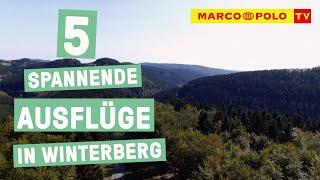 Spannung im Sauerland! - Die Top 5 Ausflüge in Winterberg