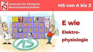 E wie Elektrophysiologie #MS360