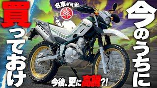 【250ccの最高傑作】価格高騰中！『セロー250』が万能神バイクと呼ばれる理由【ヤマハの名車】