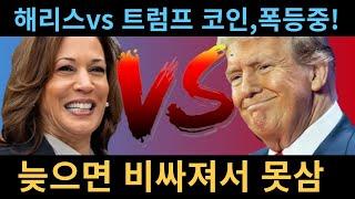 해리스 vs 트럼프 밈코인 폭등중, 늦으면 너무 비싸집니다