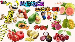 Fruits Lesson-3 | පළතුරු පාඩම-3 | Fruits In English | Learning English | Education | #jnkidscorner