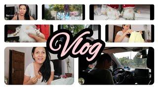 VLOG #shopping #pepco #ősz  #dekor 