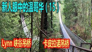 （15）新人眼中的温哥华  卡皮拉诺吊桥 ，The Capilano Suspension Bridge， Lynn 峡谷吊桥,  Lynn canyon suspension bridge,北温