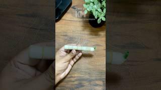  DIY Air Stone Using Old Aquarium Ceramic Rings!