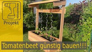 Tomaten Hochbeet mit Dach super günstig selbst bauen - Ich zeige euch wie!