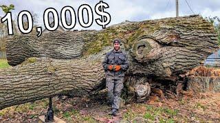 The $10,000 Log That Shocked Us!