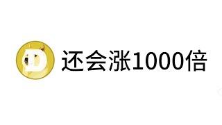 很显然狗狗币还会涨1000倍、超越比特币，你还没看懂吗