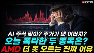 AI 주식 맞아? 주가가 왜 이러지?? 오늘 폭락한 두 종목은? AMD 주가가 더 못 가는 진짜 이유는??