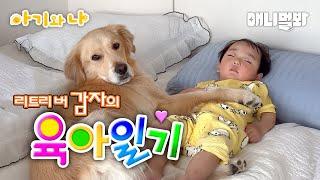 리트리버와 아기는 사랑이야 (태후 감자 우정 모음zip)ㅣRetriever And Baby Is LOVE (Taehoo And Gamja's Friendship)