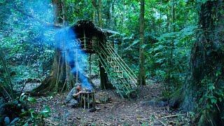 Full video 1 year Solo Bushcraft. Living and bushwalking in the rainforest,  Bushcaft Survive.