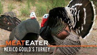 Sonoran Super-Birds: Mexico Gould's Turkey | S2E12 | MeatEater