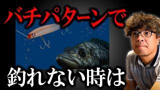 ルアーを無視するシーバスについて　【村岡昌憲切り抜き】