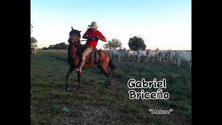 Viejo Criollo, Gabriel Briceño - "Melero"