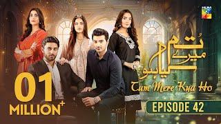 Tum Mere Kya Ho - Episode 42 - 2nd June 2024  [ Adnan Raza Mir & Ameema Saleem ] - HUM TV