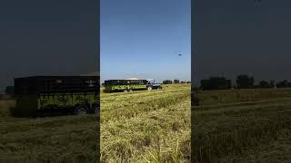 Neil Holland #tractordemonstration #automobile #farmequipmentinaction #farmequipment #farming