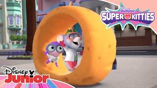 Say Cheese  | SuperKitties ⭐ | Disney Junior MENA