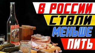 М. Гойхман, TeleTrade: в России стали меньше пить. Так ли это?