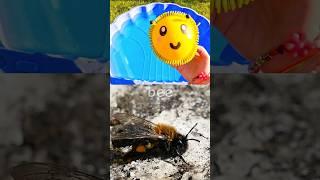 Learn Bug Insect Names for Babies Toddlers Kids: Bee Butterfly Centipede #SpringOnYouTube