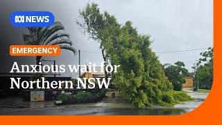 Northern NSW communities brace for floods as Cyclone Alfred bears down | ABC NEWS