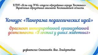 Интегрированная ОД «В гостях у диких животных» с детьми с задержкой психического развития.