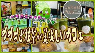 【ケアンズカフェ巡り】カカオと抹茶ドリンクが美味しいカフェ！　「CAKAO PLUS」　第539ページ　AUSTRALIA CAIRNS CHANNEL