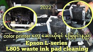 Epson L805 Lseries over ink cleaning and waste ink pad cleaning #inkpad #wasteinkpad #overink