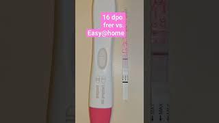 16 dpo frer vs. easy@home sensitivity #pregnancy #pregnancytest #pregnant #livepregnancytest #baby