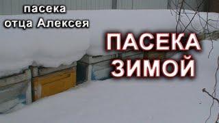 Пасека зимой. Пасека отца Алексея