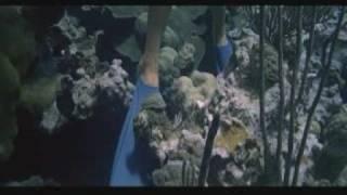 Girl Snorkeling Gets Her Dive Fins Stuck Between The rock