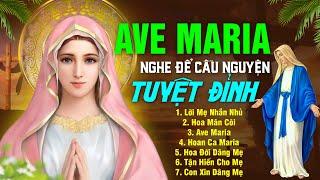 Nhạc Thánh Ca Dâng Kính Đức Mẹ 2024 Hay Nhất - MẸ MARIA ƠI - Nghe Để Cầu Nguyện Cùng Mẹ Maria