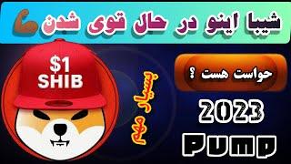 بسیار مهم : ارز شیبا اینو در حال قدرت گرفتن ! حواست هست ؟ ۲۰۲۳ و پامپ شیبا