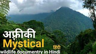 The mystical forest - हिंदी डॉक्यूमेंट्री ! Africa wildlife documentry in Hindi