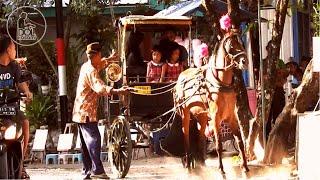 Naik Delman, Kereta Kuda, Wisata Andong Jogja