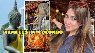 BEST PLACES TO VISIT IN COLOMBO SRI LANKA  / Arabic Girl in SRI LANKA