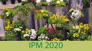 IPM 2020 - Kientzler Young Plants