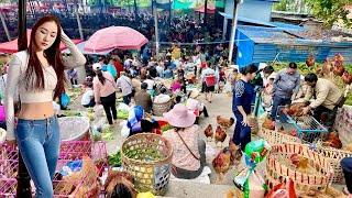 TRỜI ƠI KHÔNG NGỜ CHỢ PHIÊN Ở TRUNG QUỐC BÁN NHIỀU ĐẶC SẢN ĐẾN VẬY | CHỢ MENGLA, KIM BÌNH, VÂN NAM