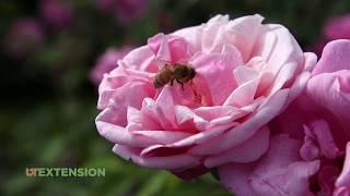 WCMGA in the Community: Carnton Plantation
