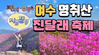 여수 영취산 진달래축제 절정이에요 드론영상 등산코스