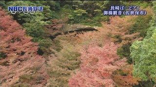 ＮＢＣ長崎放送　Ｎスタプラス長崎　長崎ばーどアイ　御橋観音（佐世保市）