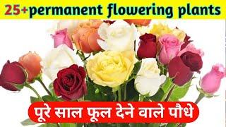 25+ Permanent Beautiful flowering plants।पूरे साल फूल देने वाले पौधे।Best plant for beginners।