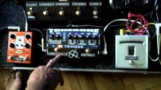 Istvan Alapi - Laney TT50H and the Pedalboard