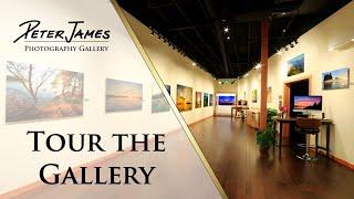 TOUR THE BELLINGHAM GALLERY