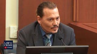 Johnny Depp Rebuts Amber Heard's Case in Defamation Trial (Depp v. Heard)