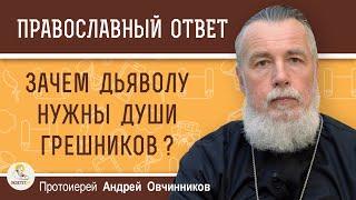 ЗАЧЕМ ДЬЯВОЛУ НУЖНЫ ДУШИ ГРЕШНИКОВ ?  Протоиерей Андрей Овчинников