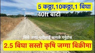 2.5 Bigga| Sasto Krishi Jagga| Cheap| Agriculture Land For Sale at Nepal| Krishi Farm #hamrobazar