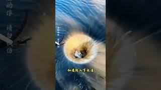 摳開路邊的井蓋，居然能拿到驚人的3000美元，單純是為了好玩#奇聞趣事 #科普知識 #有趣的冷知識