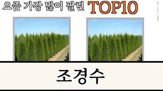 가장 많이 팔린 조경수 추천 Top10!