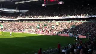 Werder - Hoffenheim 3:1 - Tor von Petersen